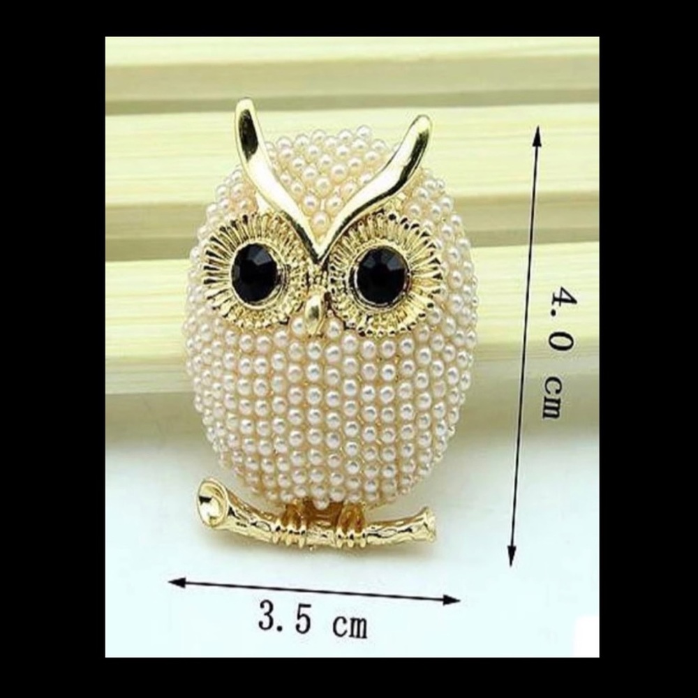 Owl brooch with faux pearls and rhinestones.NWT - Picture 3 of 3